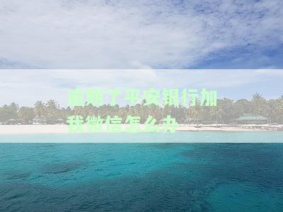 平安银行会通过微信催款吗？是否安全？是否会添加你的私人微信办理借款或向他人贷款？并且是通过电话加微信的方式进行操作吗？