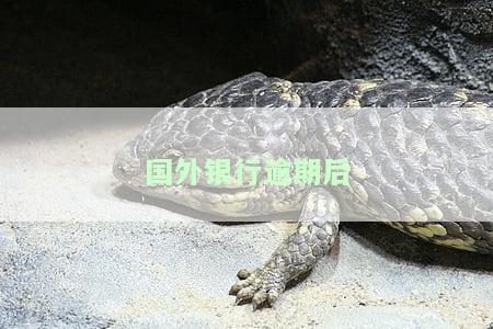 在国外逾期会怎么样，国外逾期的严重后果：你不能忽视的问题