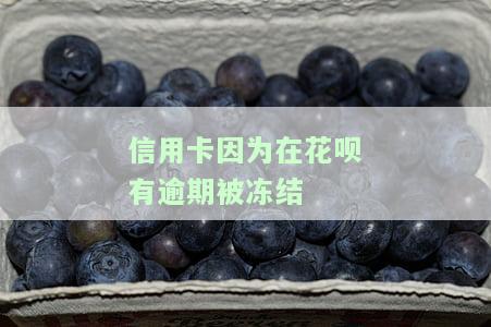 信用卡因为在花呗有逾期被冻结怎么办，信用卡冻结：如何解决因花呗逾期导致的问题？