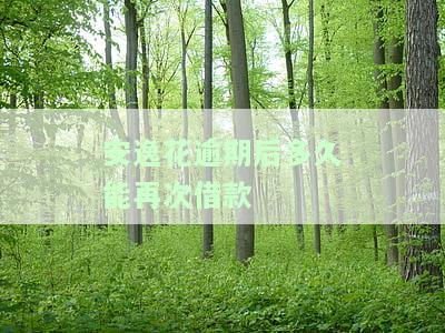 安逸花逾期几个小时，警惕！安逸花逾期几个小时可能带来的严重后果