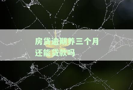 房贷逾期养三个月还能贷款吗