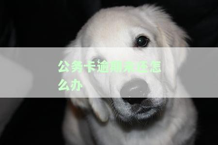 如何解决公务卡逾期未还问题？期还款、处理后果及影响全面解析！