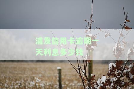 浦发逾期一天算逾期吗？还款影响信用及能否再刷卡？