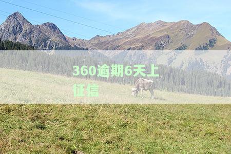 360逾期几天会出现在征信上？逾期记录如何消除？
