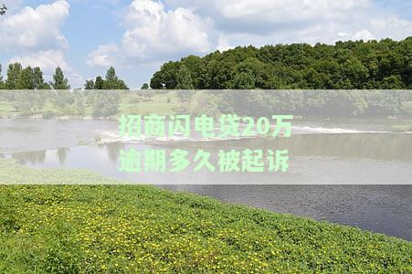 招商银行闪电贷逾期多久会要求全额还款？被起诉风险及解决办法