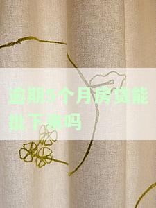 房贷逾期5个月又继续还，银行还会起诉吗？逾期处理、还款方式及协商可能性全解析