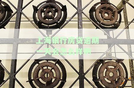 上海银行房贷逾期一天会产生何种影响？如何应对？还款宽限期是多久？贷款逾期多久会被要求全额还款？