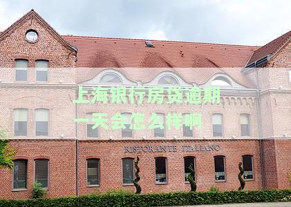 上海银行房贷还款宽限期，了解上海银行房贷还款宽限期，轻松应对财务压力