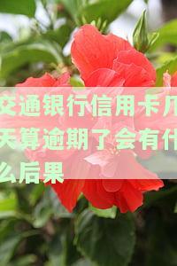 交通银行信用卡5天未还款是否算逾期？宽限期是多久？忘记还款会有何影响？欠款五万无法偿还应如何处理？