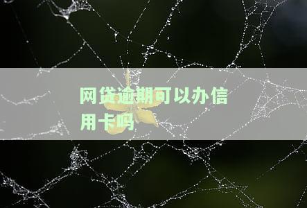 '网贷逾期可以办信用卡吗？会影响申请结果吗？'