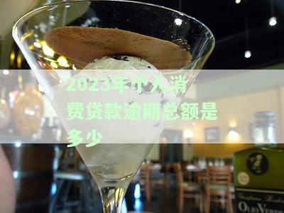 2023年个人消费贷款逾期总额是多少元，揭秘2023年个人消费贷款逾期总额，你可能需要知道这些