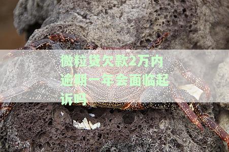 微粒贷欠款2万4逾期会被起诉吗，欠款2万4的微粒贷逾期会面临被起诉的风险吗？