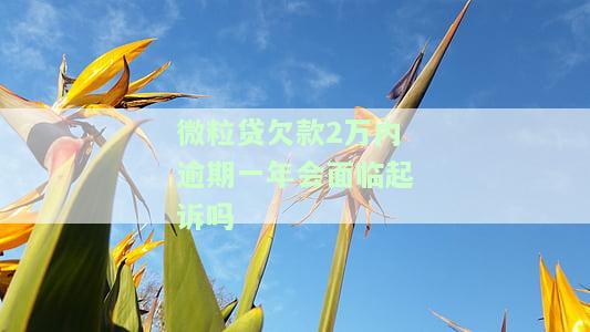 微粒贷欠款2万内逾期一年会面临起诉吗-微粒贷欠款2万内逾期一年会面临起诉吗