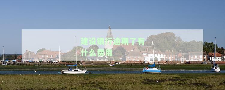 建设银行逾期了有什么费用可以交，如何解决建设银行逾期？需要支付哪些费用？