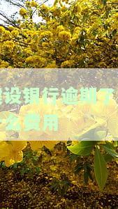建设银行逾期怎么收费，深入了解建设银行信用卡逾期费用收取标准