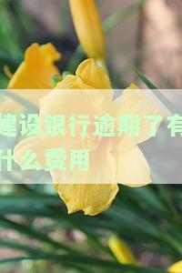 建设银行逾期：协商还款、上征信、减免方案、一天影响、三个月司法程序及协商电话全解析