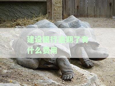 建设银行卡逾期，警惕！建设银行卡逾期可能带来的严重后果