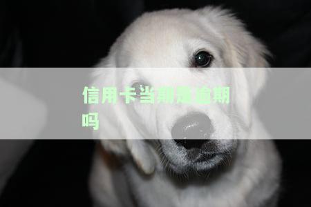 信用卡当期是逾期吗怎么还款，信用卡逾期了，该如何进行还款？