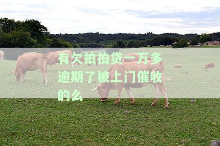 拍拍贷欠一万会上门吗？逾期未还会被起诉吗？2020最新规定