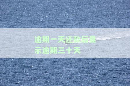 逾期一天还款后显示逾期三十天