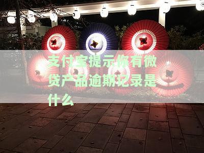 支付宝提示你有微贷产品逾期记录？情况说明与解决方法