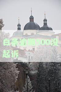 白条逾期32天说立案：真的吗？会怎样处理？