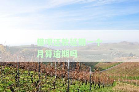 借呗还款期一个月算逾期吗？影响及再次期操作全解析