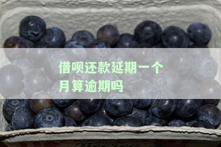 借呗还款期一个月算逾期吗-借呗还款期一个月算逾期吗怎么办