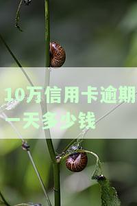 十万块信用卡逾期一个月还多少，信用卡逾期一个月，欠款十万需要还款多少？