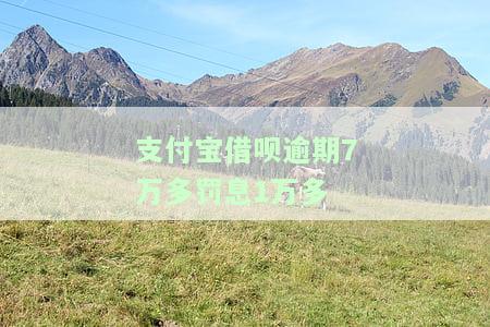 支付宝借呗逾期7万会刑事责任吗，支付宝借呗逾期7万是否会被追究刑事责任？