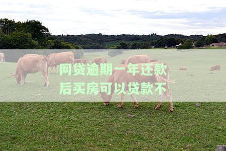 网贷逾期一年还款后买房可以贷款不，网贷逾期一年还款后，是否还能申请房贷？
