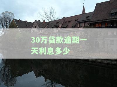 30万贷款逾期一天利息多少-30万贷款逾期一天利息多少钱