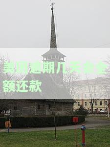 美团逾期几天还进去还能拿出来用吗，美团逾期还款后，能否继续使用？