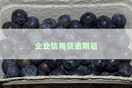企业信用贷逾期后会产生哪些后果？包括但不限于：罚款、影响信用记录、可能被起诉等。如果企业无法偿还逾期贷款，应立即与贷款机构联系并寻求解决方案，如期还款或重新协商还款计划。同时，企业应该积极改善经营状况以避免进一步的债务问题。恢复征信需要一定的时间和努力，但通过积极还款和重建信用记录是可以实现的。
