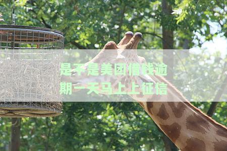 美团借钱逾期1天有影响吗，美团借钱逾期1天会产生影响吗？