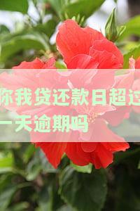 你我贷了还款一天，逾期一天还你我贷：影响及解决方案