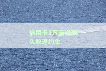 信用卡1万元逾期收取违约金是否合法？期限、金额及可能的法律后果是什么？