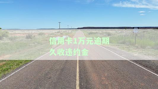 信用卡1万元逾期久收违约金
