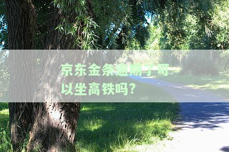 京东金条逾期五个月欠款两万，是否能坐动车和飞机？影响购物、申请信用卡及银行贷款吗？