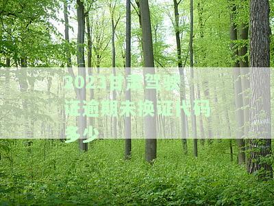 肃省驾驶证到期换证流程，详解：肃省驾驶证到期如何换证？步骤全解析！