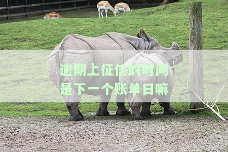 征信逾期下个月何时更新？逾期记录每月更新时间与频率解析