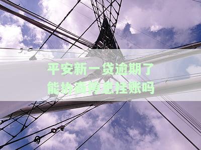 平安新一贷可以申请期吗，平安新一贷：期还款申请指南