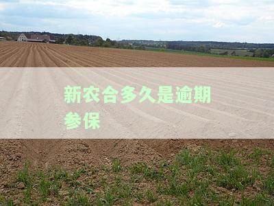 新农合多久是逾期参保状态，了解新农合：逾期参保状态的持续时间