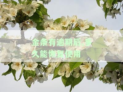 金条有逾期后,多久能恢复使用信用卡，金条逾期后，信用卡多久能恢复正常使用？