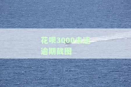 花呗3000未还款截图，警示：您的花呗账单中存在3000元未还余额，请尽快处理！