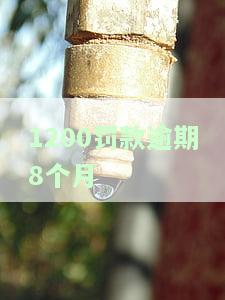 逾期罚款多少？税务、个人所得税等各类罚款金额全知道！