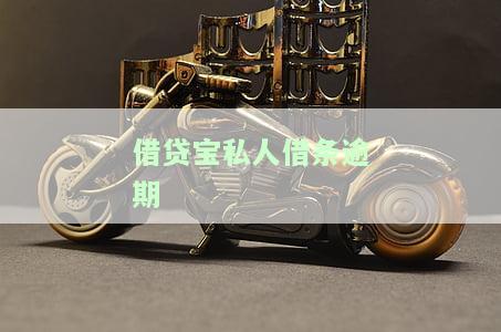 借贷宝私人借条逾期一天会有何影响？包括可能的处理方式、未还款的后果以及私人贷款逾期是否会上征信等信息。