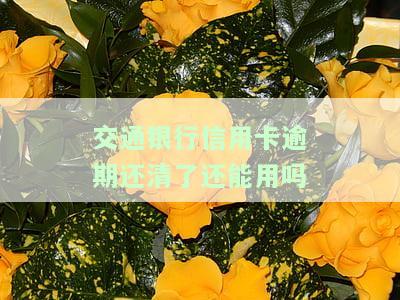 交通银行信用卡逾期还清了还能用吗安全吗，信用卡逾期还款后能否继续使用？交通银行解答