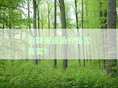逾期函件是啥，什么是逾期函件？解释与重要性