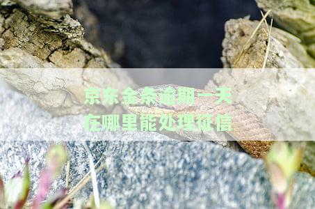 京东金条逾期一天会影响信誉度吗？